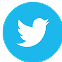Twitter Icon
