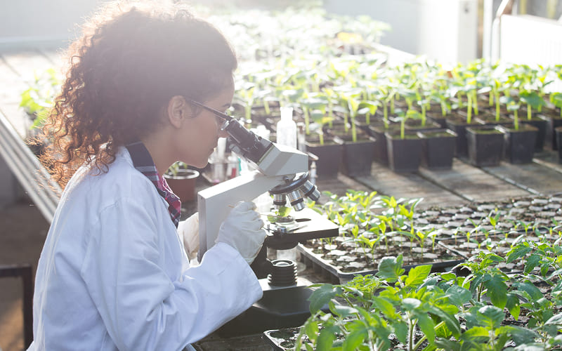(Part 1): From Soil to Sky: The Role of Frontier Technologies in Precision Agriculture
