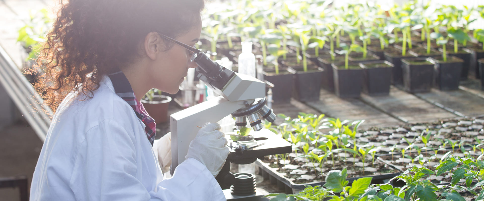 (Part 1): From Soil to Sky: The Role of Frontier Technologies in Precision Agriculture