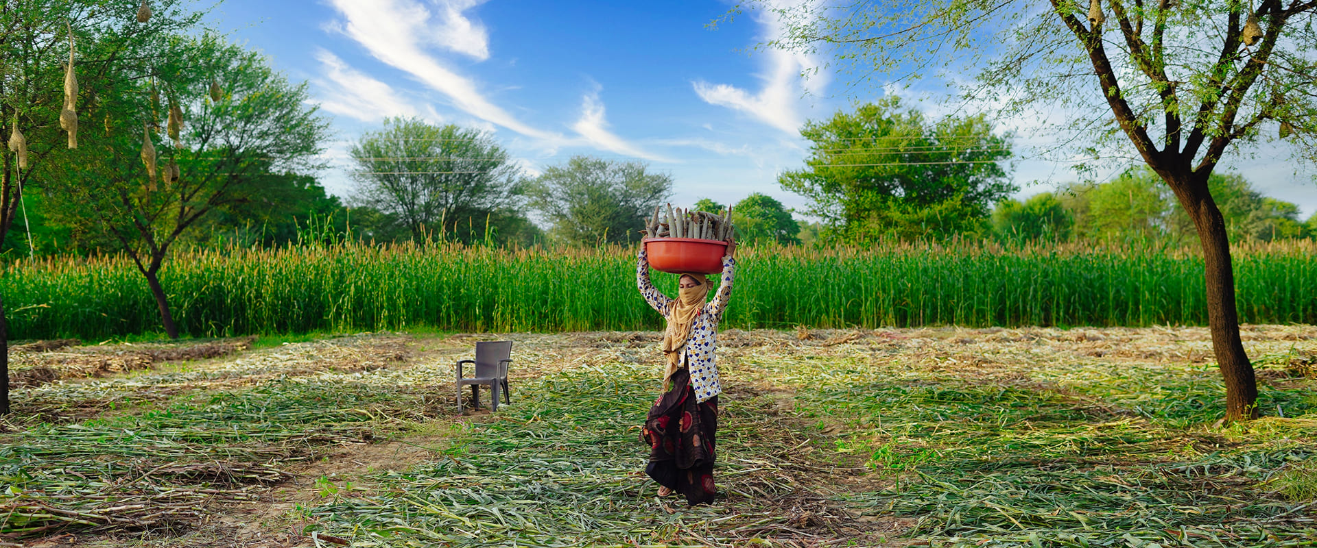 Vesatogo Innovations: Smart Logistics for a Smarter Agri Economy