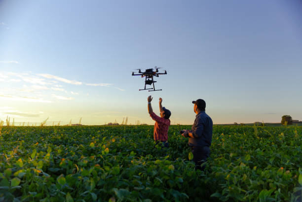 Agriculture