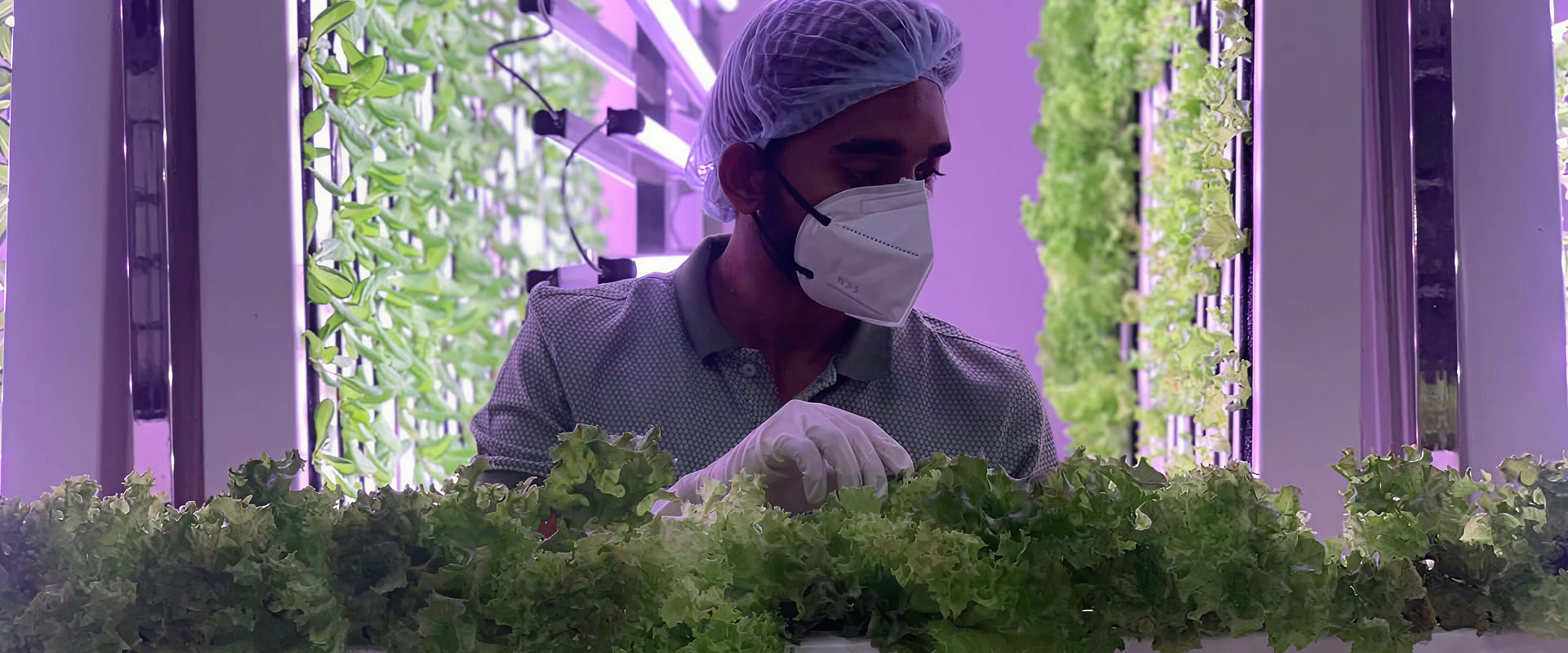 AI-Driven Hydroponics: Transforming Indian Agriculture for Climate Resilience and Sustainability