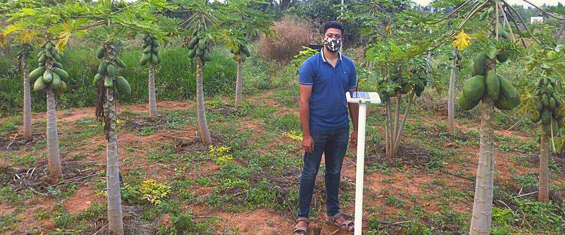 From Fields to Data: IoT-Powered Precision Farming Boosting Yields and Saving Water