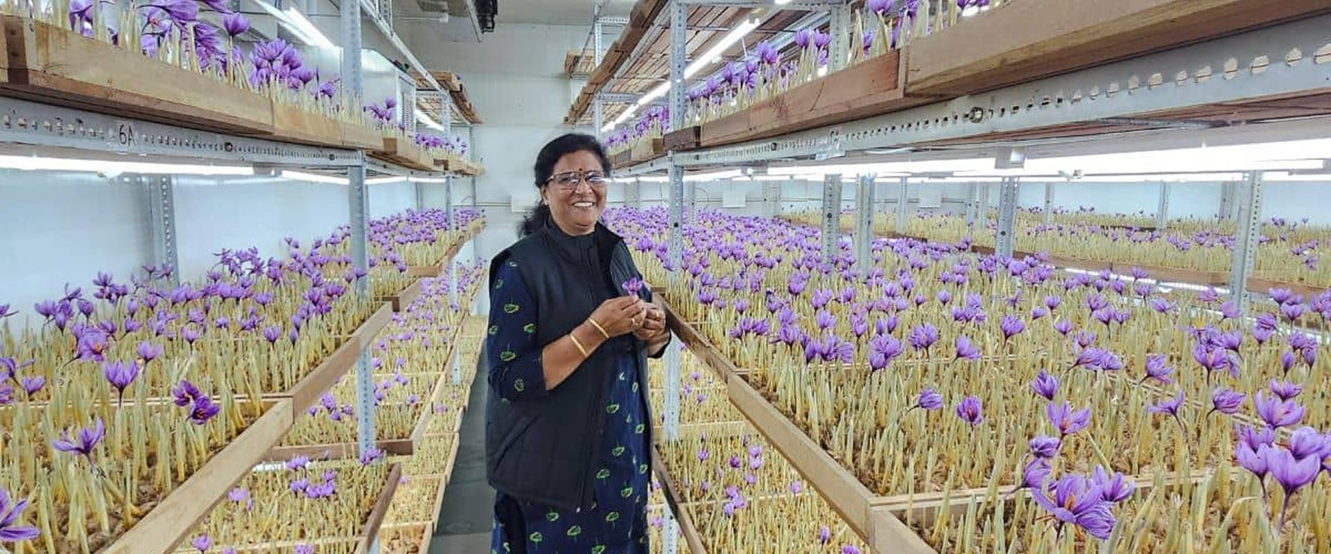 Indoor Saffron Cultivation Through IoT: A Transformative Agritech Innovation for India