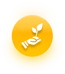 Soil Health