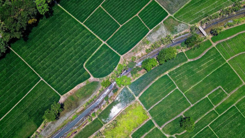 AI-Powered Farm Intelligence System Is Helping Farmers Fight Climate and Pest Risks