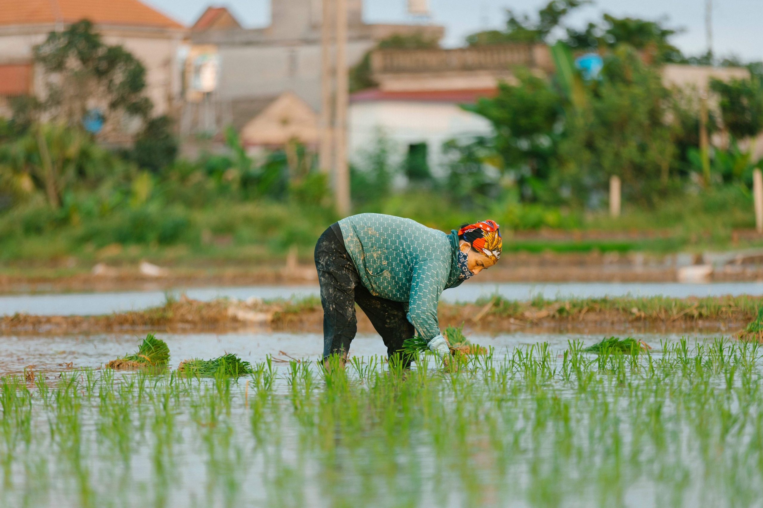 AI is Analyzing Crop Health at Near-Zero Costs for 4500+ Farmers
