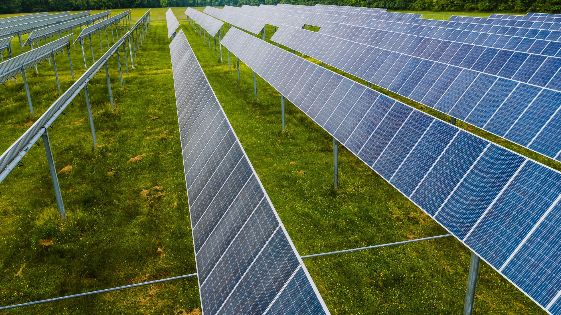 Inside Chittoor: The Project Bringing Solar Energy and AI-Powered Education to ~250 Rural Families