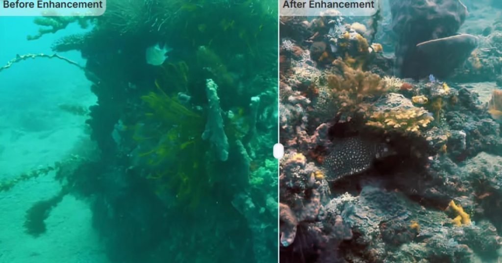 How AI-Powered Underwater Robots Are Transforming India’s Marine Infrastructure and Coral Conservation