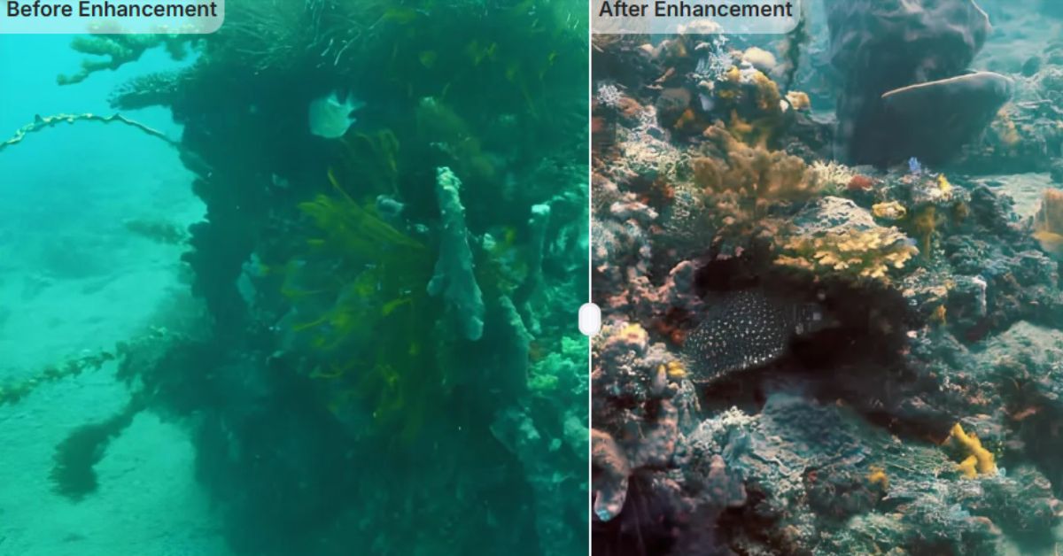 How AI-Powered Underwater Robots Are Transforming India’s Marine Infrastructure and Coral Conservation