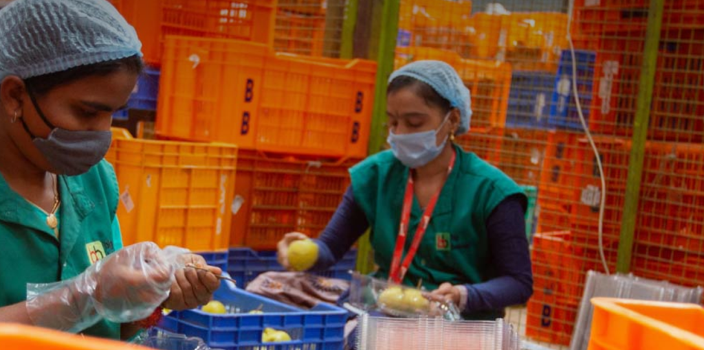 Empowering Farmers with Affordable Cold Storage: The Fridge Unit Raising Incomes by 15–30%