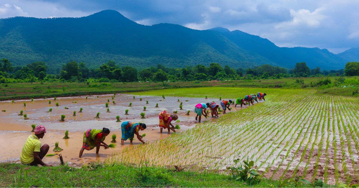How 2 Lakh Farmers Are Using AI To Earn Carbon Credits and Remove 2 Million Tonnes of Carbon